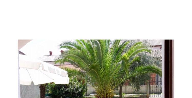 Leone Apartments With Free Parking Pula Exterior foto